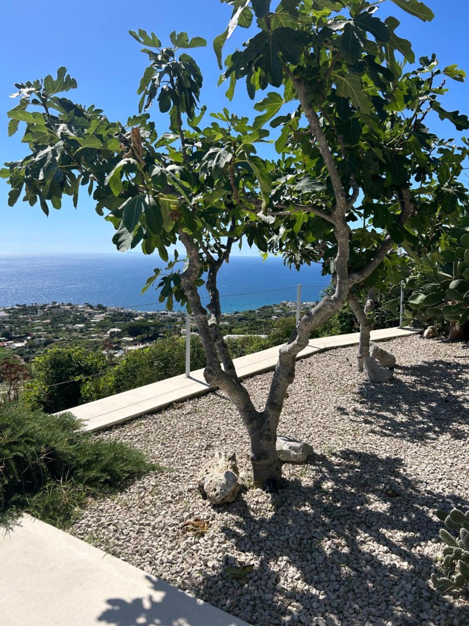 Villa Inarime Ίσκια Εξωτερικό φωτογραφία